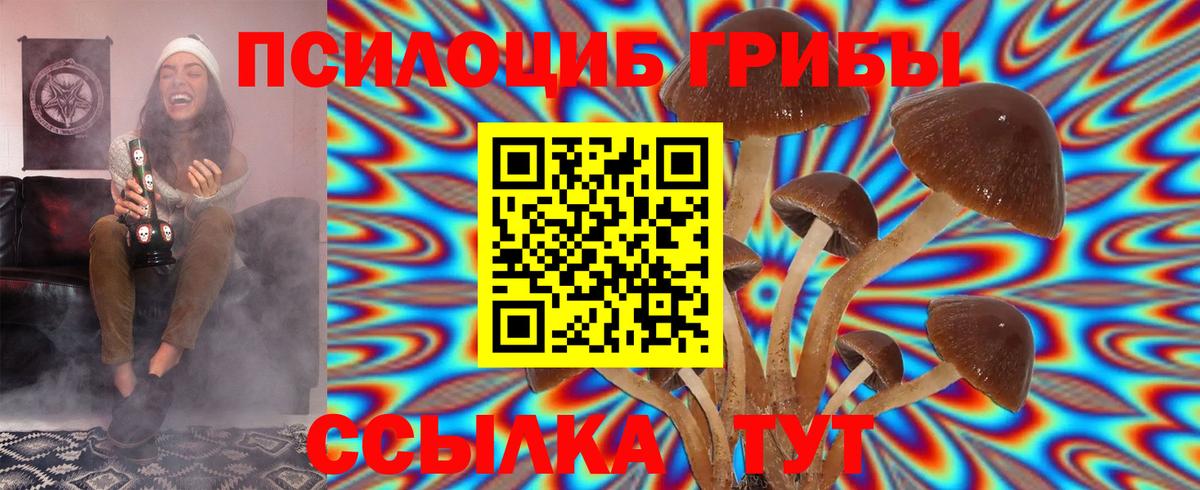 Псилоцибиновые грибы Cubensis Усть-Джегута