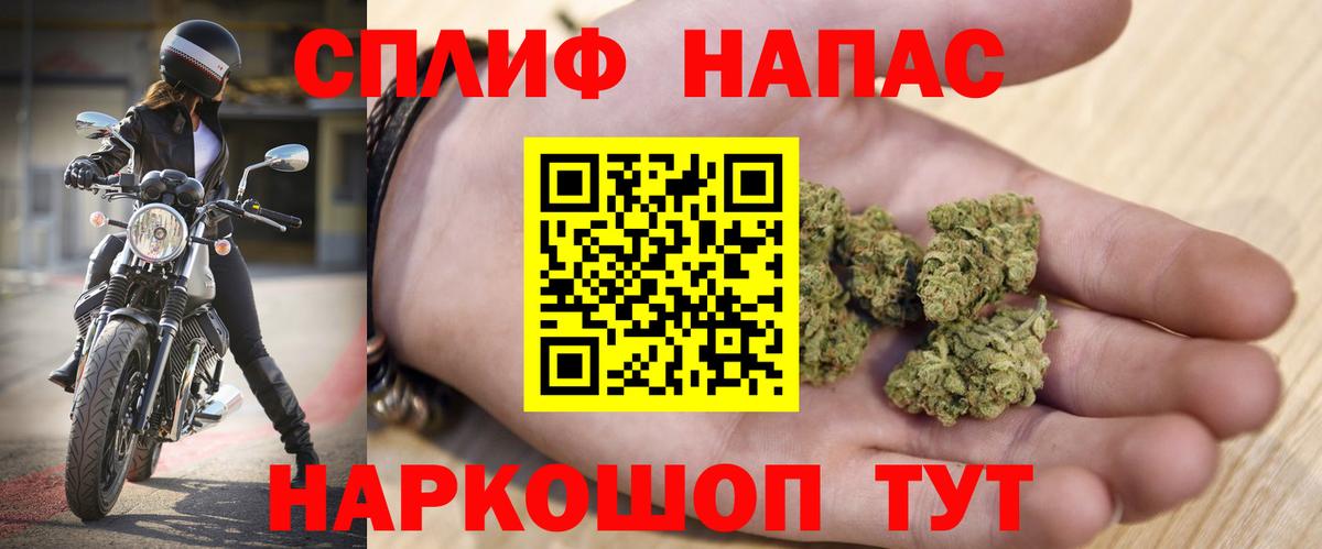 Каннабис сатива Усть-Джегута